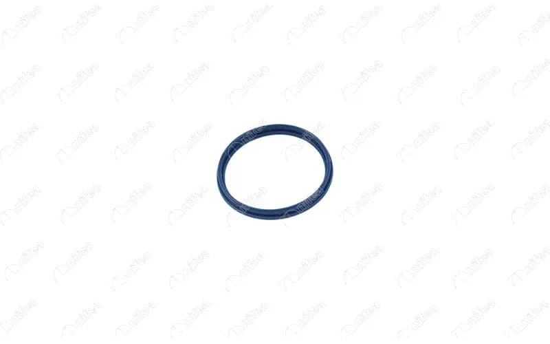 EMME MANİFOLD CONTASI FORD TRANSİT 01> 2.4 TDCİ